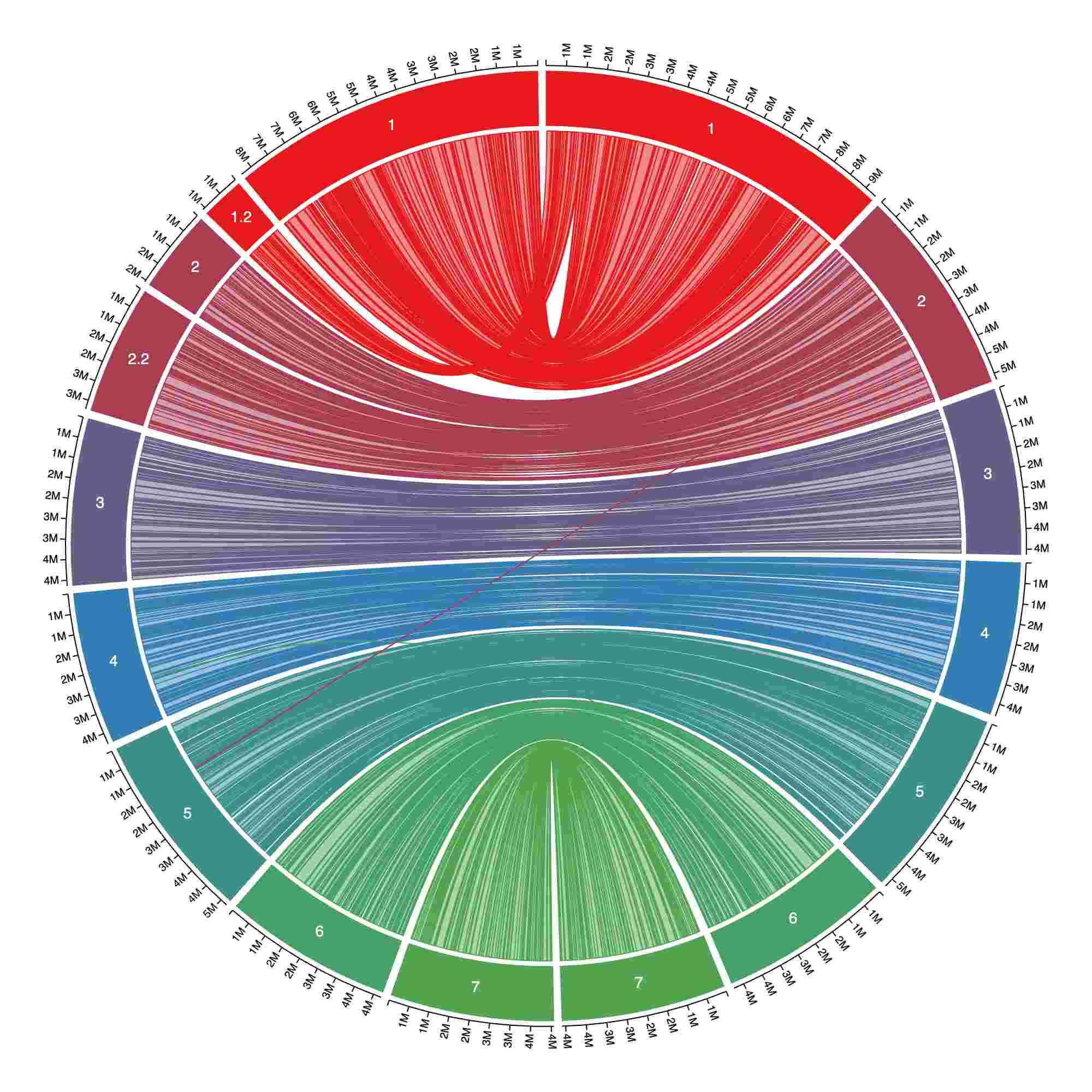 Genome comparisons and homology