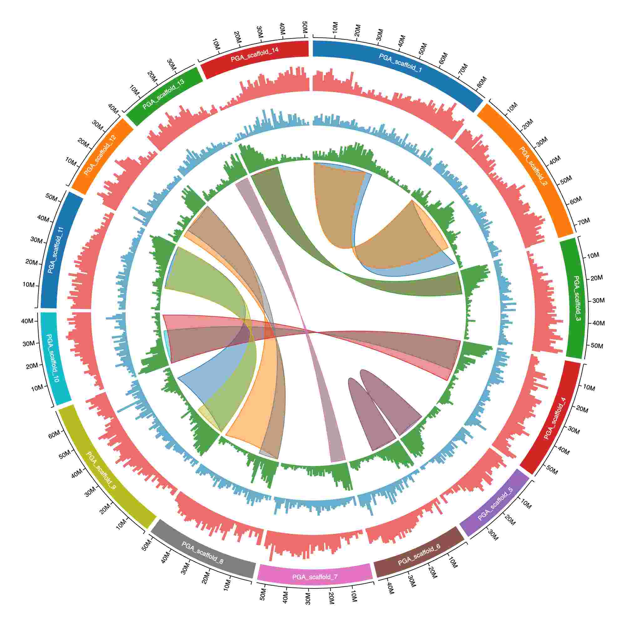 Genome assembly metrics