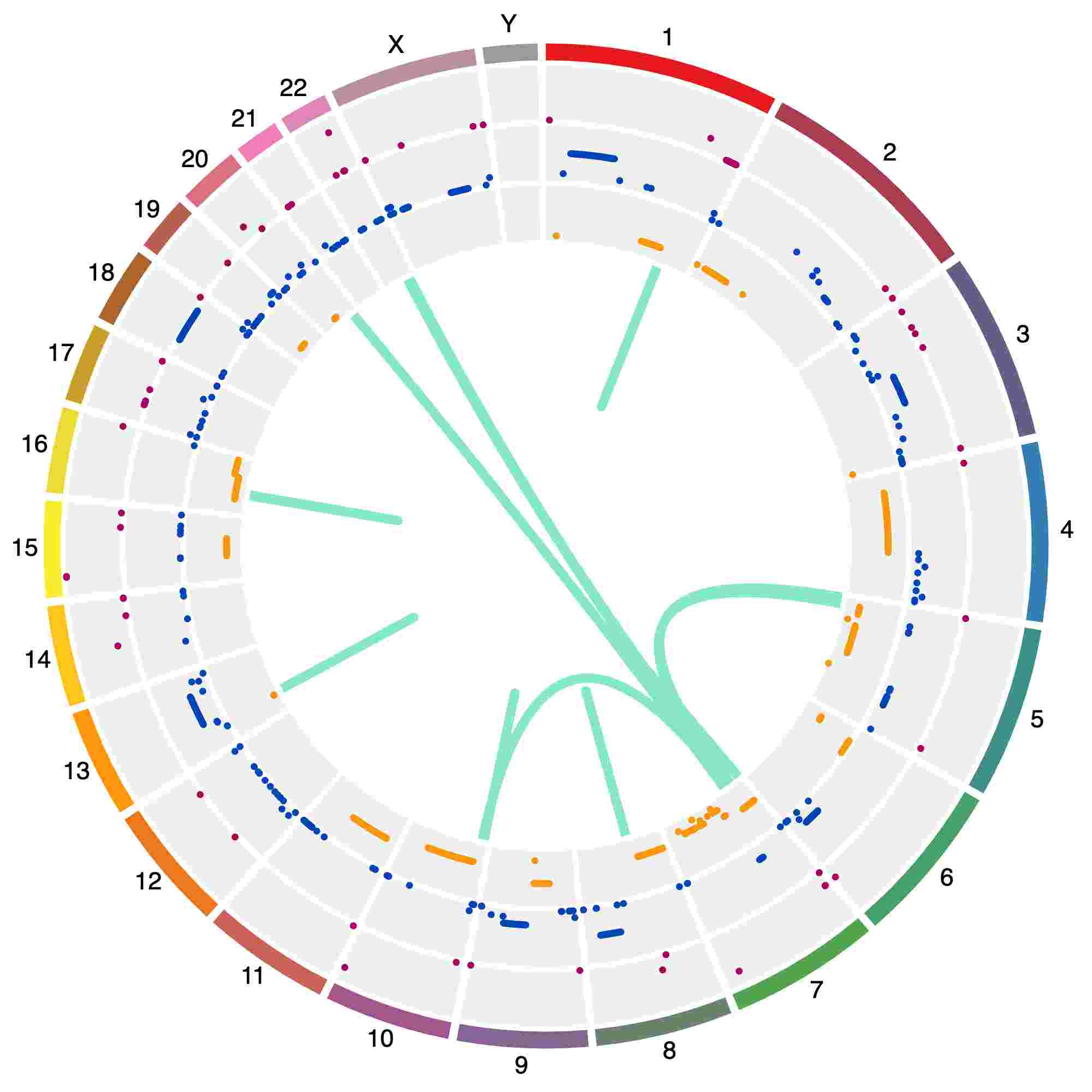 Copy-number variation and Translocations