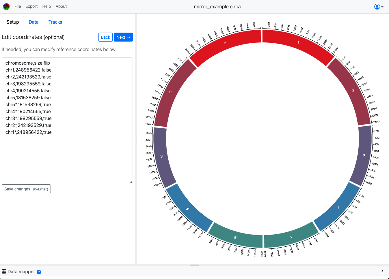 Mirror example with two sets of 5 chromosomes