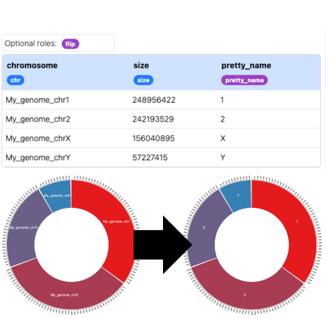 Pretty names illustration